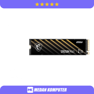 MSI SPATIUM M461 PCIe 4.0 NVMe M.2 2TB