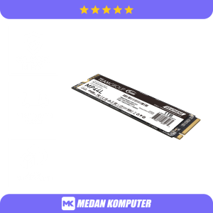 TEAM MP44L M.2 PCIe 4.0 SSD 1TB